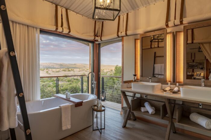 Cedarberg Travel | Sindile at Shamwari Private Game Reserve