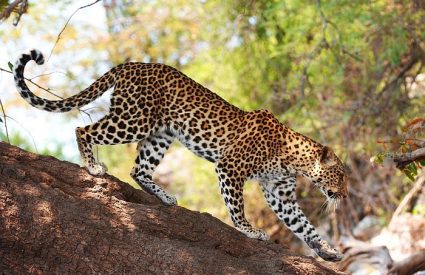 Namibia Fly-In with Skeleton Coast