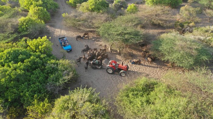 Cedarberg Travel | Leisurely Lamu