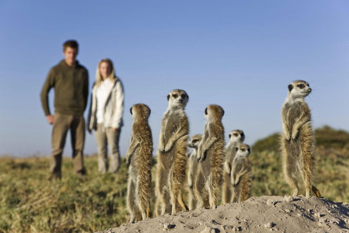 Cedarberg Travel | Planet Baobab