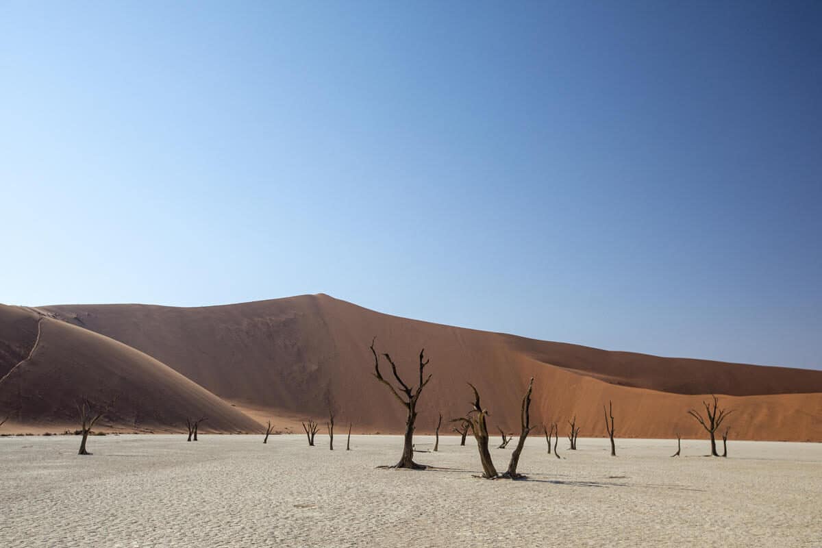 Dune in Namibia