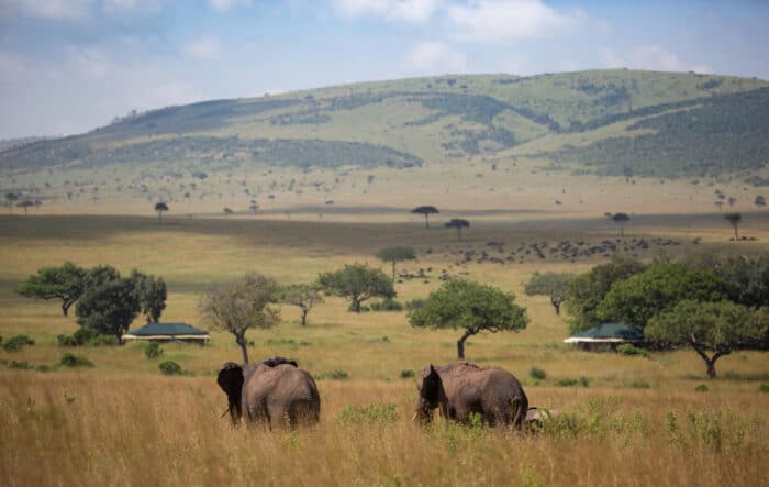 Cedarberg Travel | Elewana Sand River