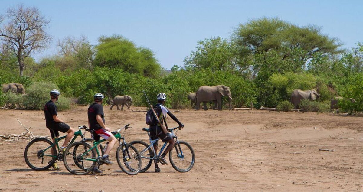 Where to find accommodation in South Africa - Biking in Mashatu