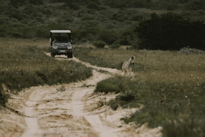 Cedarberg Travel | Amakhala Bukela Lodge