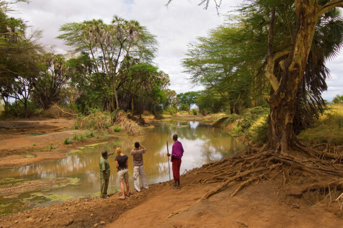 Cedarberg Travel | Severin Safari Camp