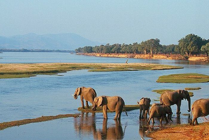 Off-the-beaten-track safari destinations - Mana Pools
