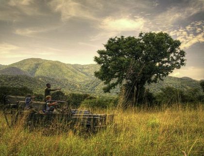 Semuliki game drive
