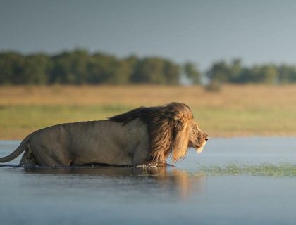 Zambia Family Safaris | Adventure Meets Luxury
