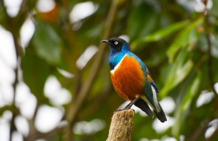 Namibia Fly-In with Skeleton Coast