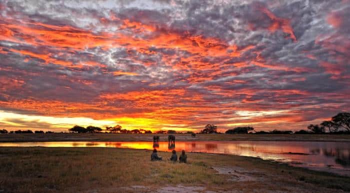 Cedarberg Travel | Somalisa Expeditions Camp