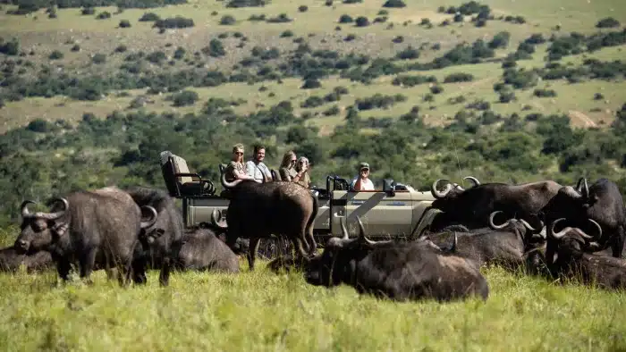 Cedarberg Travel | Lalibela Kichaka Lodge