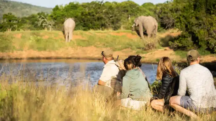 Cedarberg Travel | Lalibela Kichaka Lodge