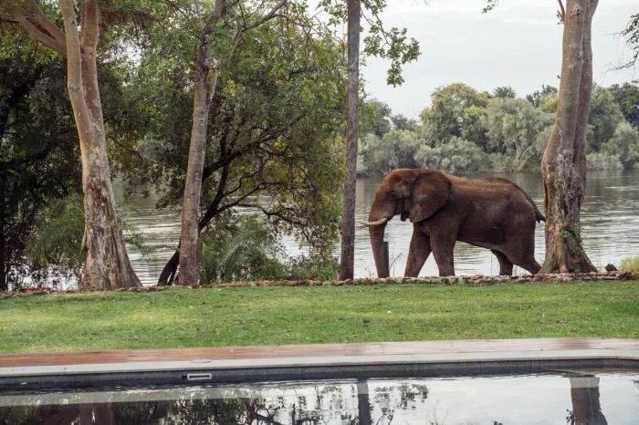 Cedarberg Travel | Palm River Hotel