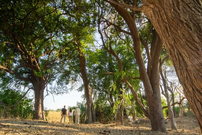 Cedarberg Travel | Nxamaseri Island Lodge