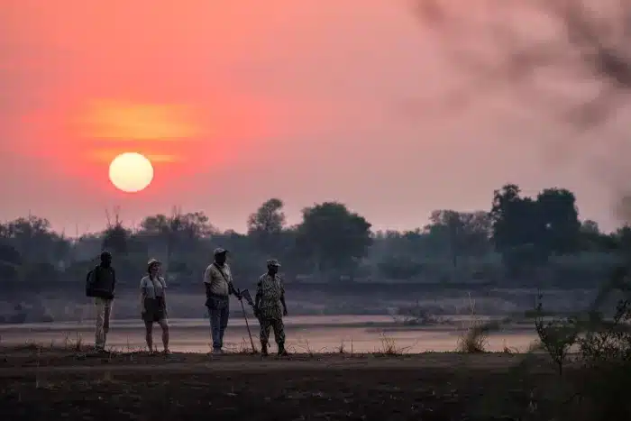 Cedarberg Travel | Shawa Luangwa Camp