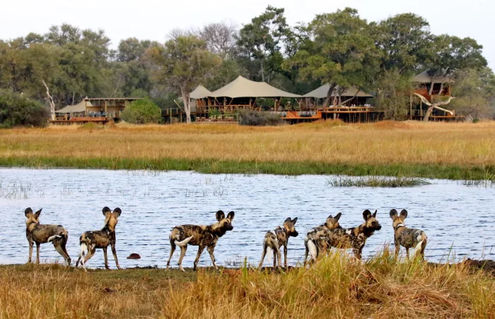 Cedarberg Travel | Tuludi Camp