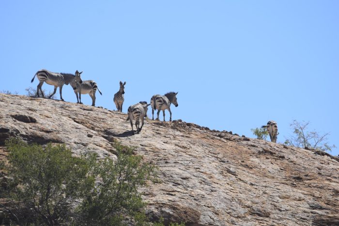 Cedarberg Travel | Ai Aiba Rock Painting Lodge