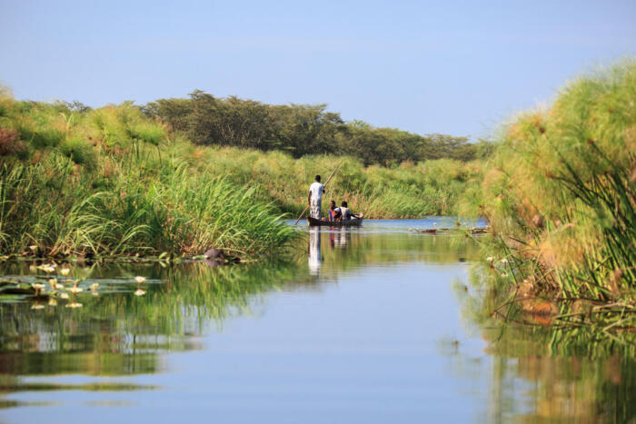 Cedarberg Travel | Zambezi Mubala Lodge