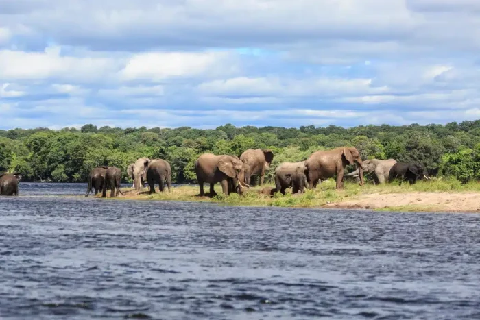 Cedarberg Travel | Zambezi Mubala Lodge