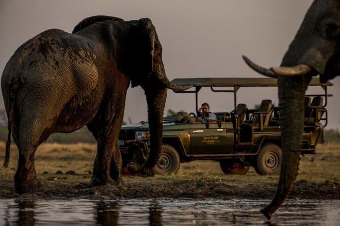 Cedarberg Travel | Okavango Explorers Camp