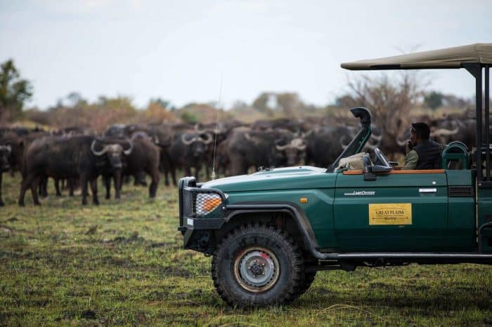 Cedarberg Travel | Okavango Explorers Camp