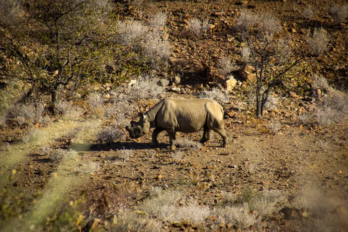 Cedarberg Travel | Camp Doros