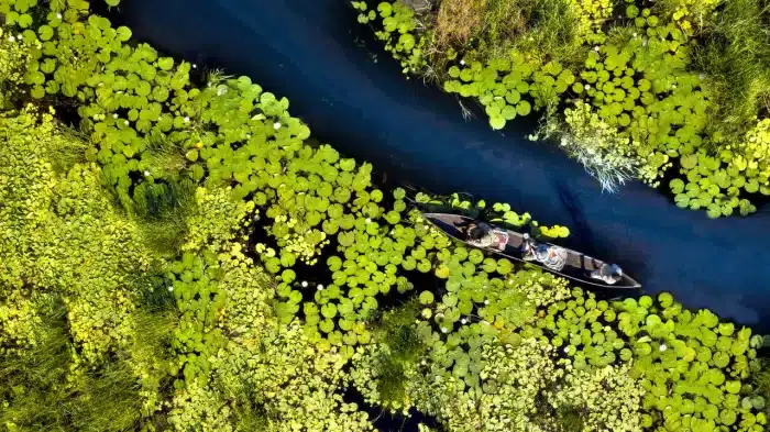 Cedarberg Travel | Atzaro Okavango Camp