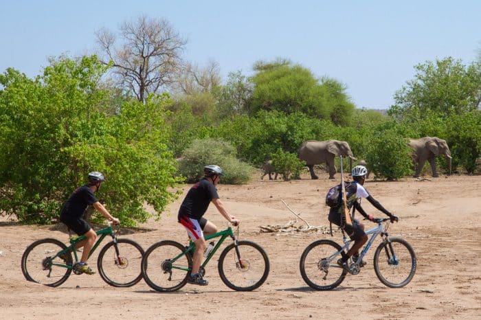 Cedarberg Travel | Mashatu Euphorbia Camp