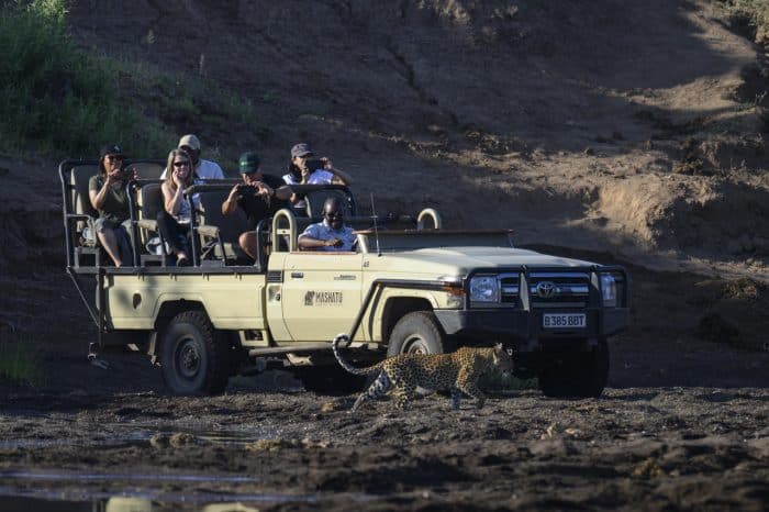 Cedarberg Travel | Mashatu Euphorbia Camp