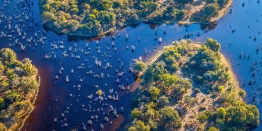 Okavango Delta