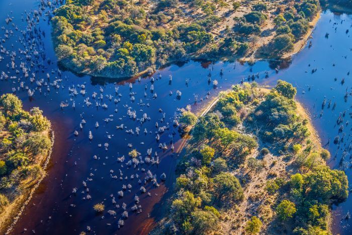 Okavango Delta