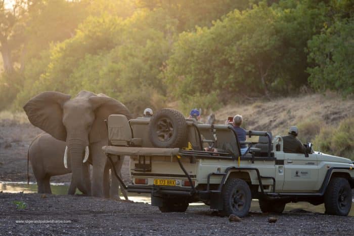 Cedarberg Travel | Mashatu Tented Camp