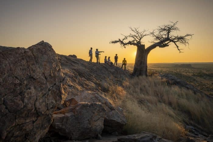 Cedarberg Travel | Mashatu Tented Camp