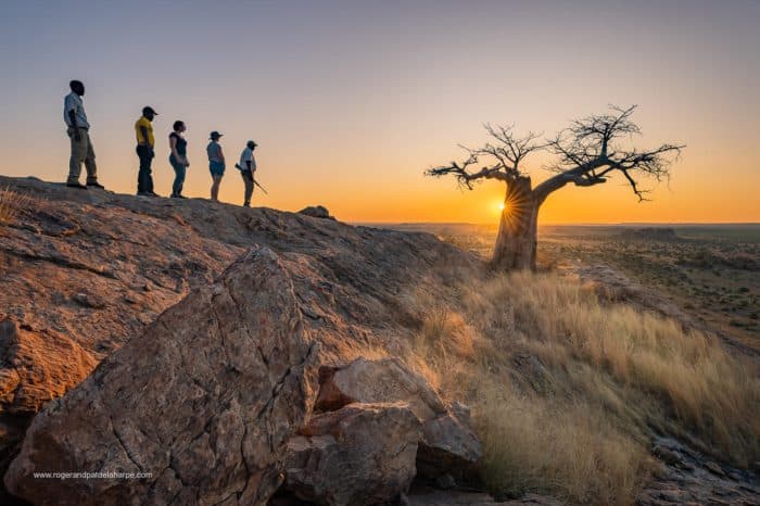 Cedarberg Travel | Mashatu Lodge