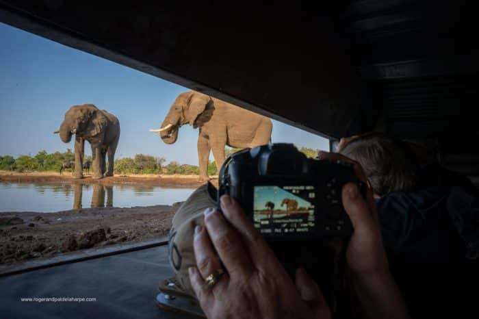 Cedarberg Travel | Mashatu Euphorbia Camp