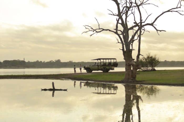 Cedarberg Travel | Roho Ya Selous