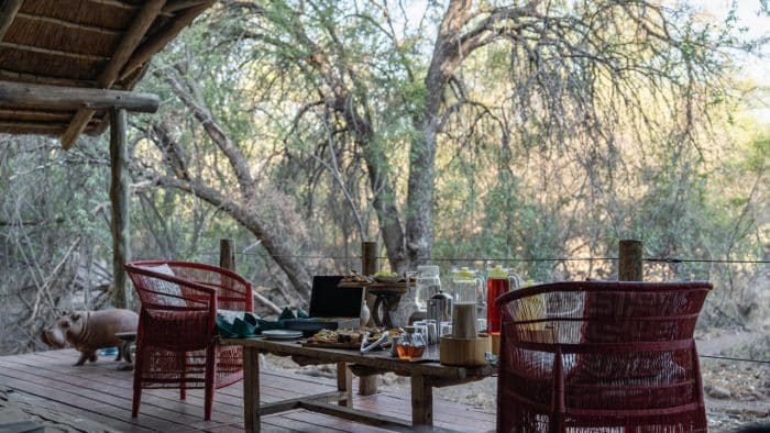 Cedarberg Travel | Mashatu Tented Camp