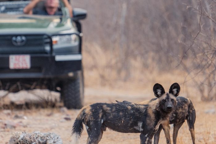 Cedarberg Travel | Khulu Bush Camp