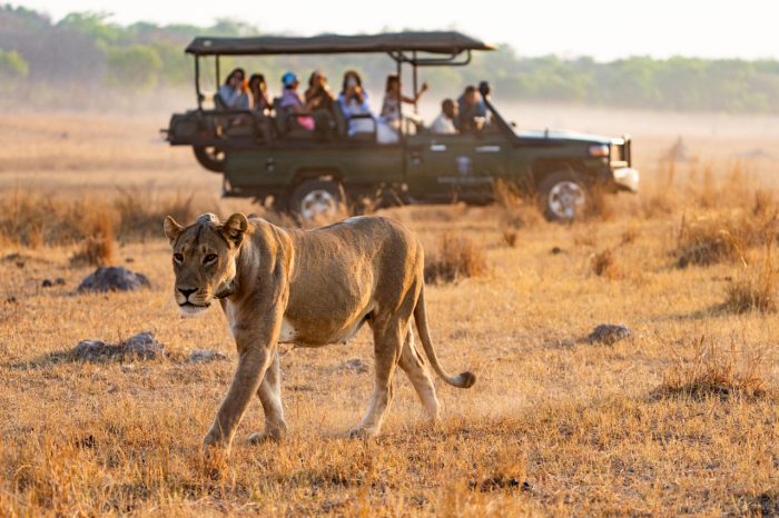 Cedarberg Travel | Khulu Bush Camp