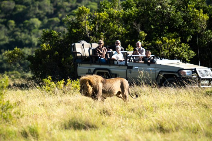 Cedarberg Travel | Lalibela Lentaba Lodge