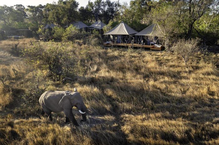 Cedarberg Travel | Khwai Lediba Camp