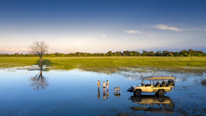 Cedarberg Travel | Khwai Lediba Camp