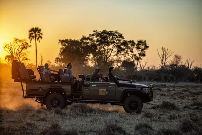 Cedarberg Travel | Gomoti Plains Camp