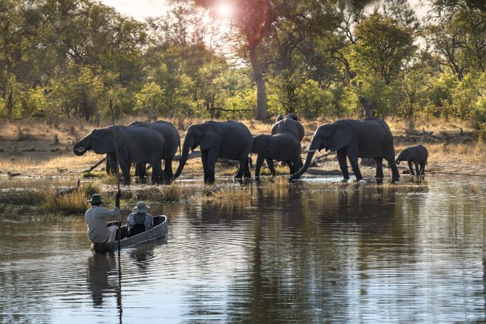 Cedarberg Travel | Khwai Lediba Camp