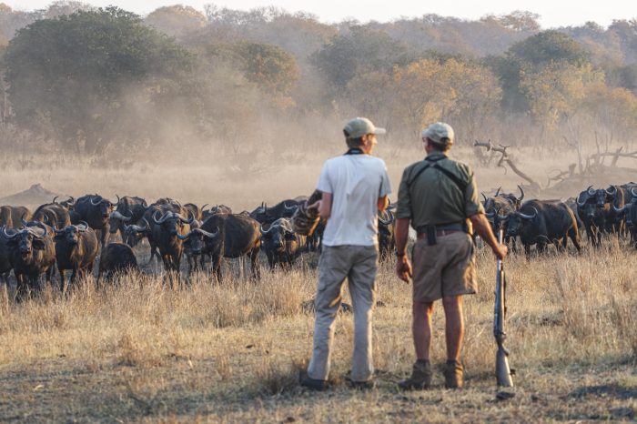 Cedarberg Travel | Khulu Bush Camp