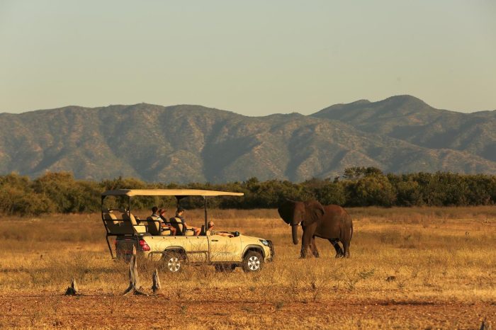 Cedarberg Travel | Fothergill