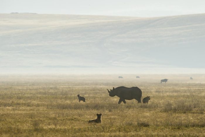 Cedarberg Travel | Entamanu Ngorongoro