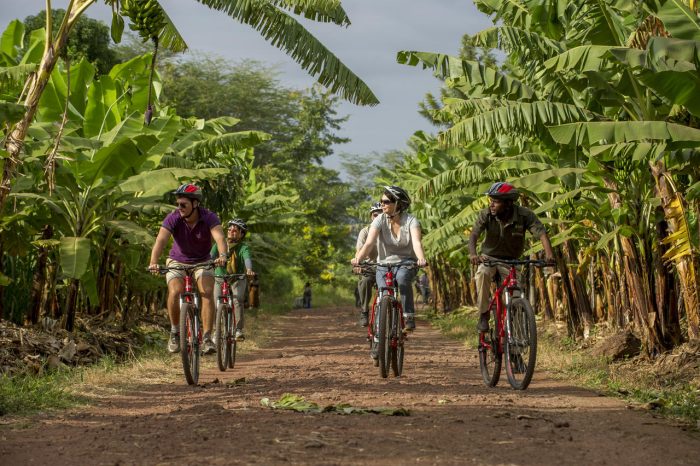 Cedarberg Travel | Lake Manyara Serena Safari Lodge