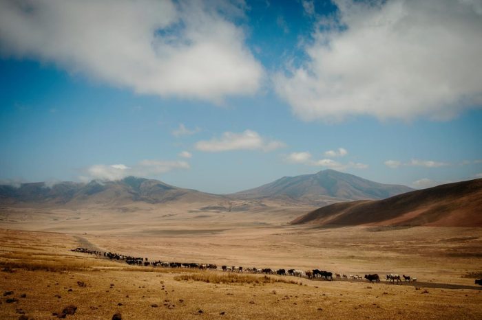 Cedarberg Travel | Entamanu Ngorongoro