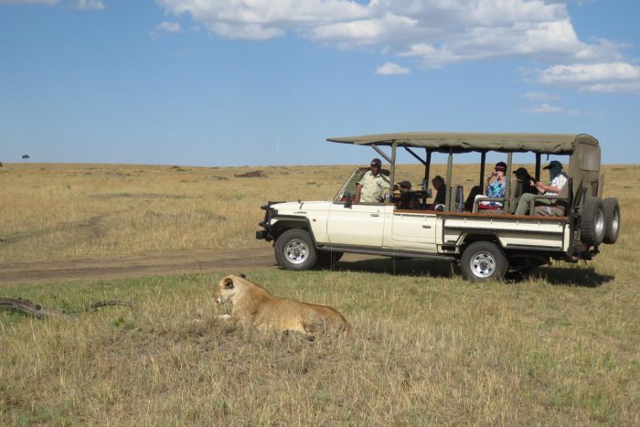 Cedarberg Travel | Serengeti North Wilderness Camp